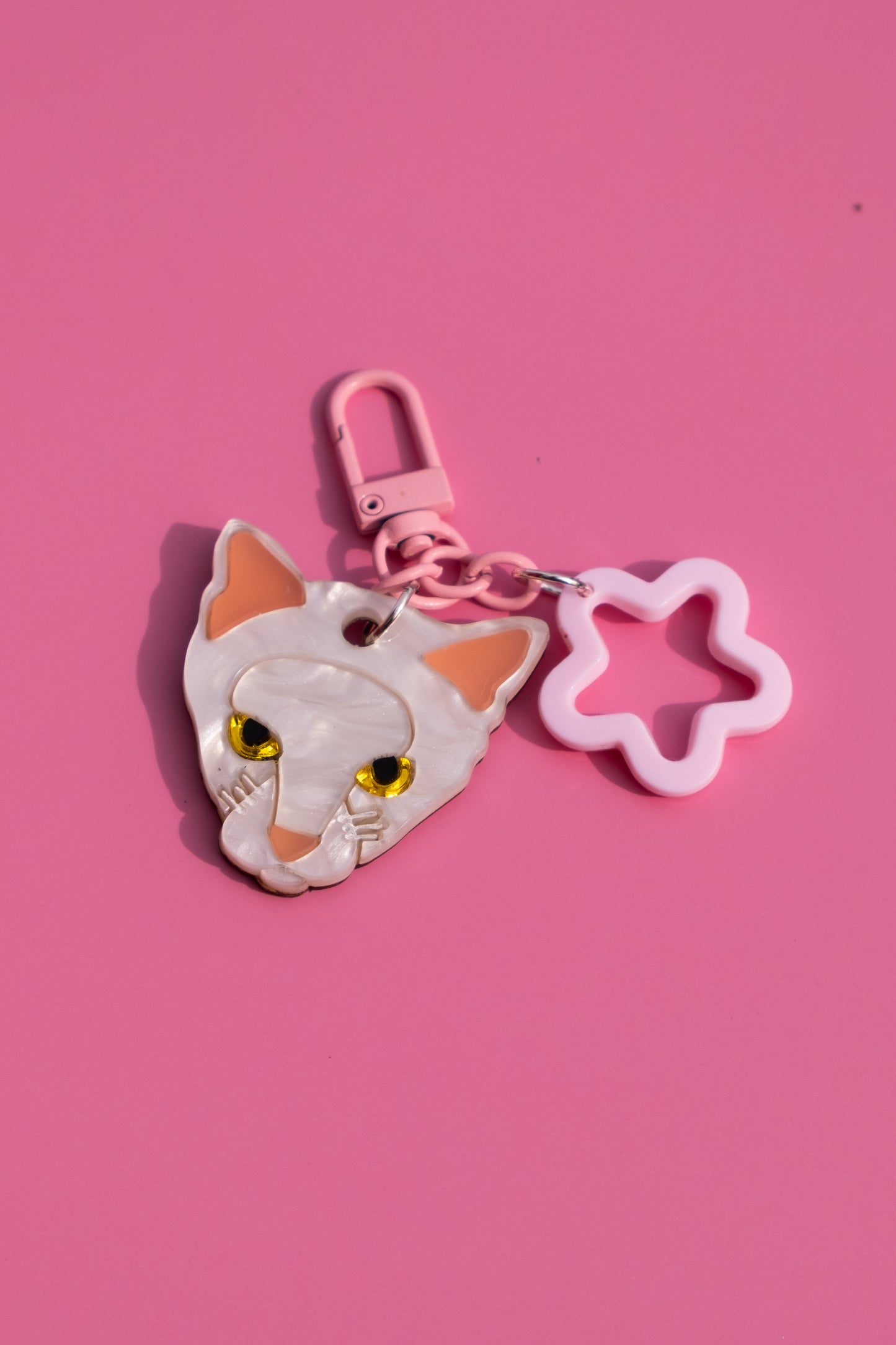 Custom Pet Keychain