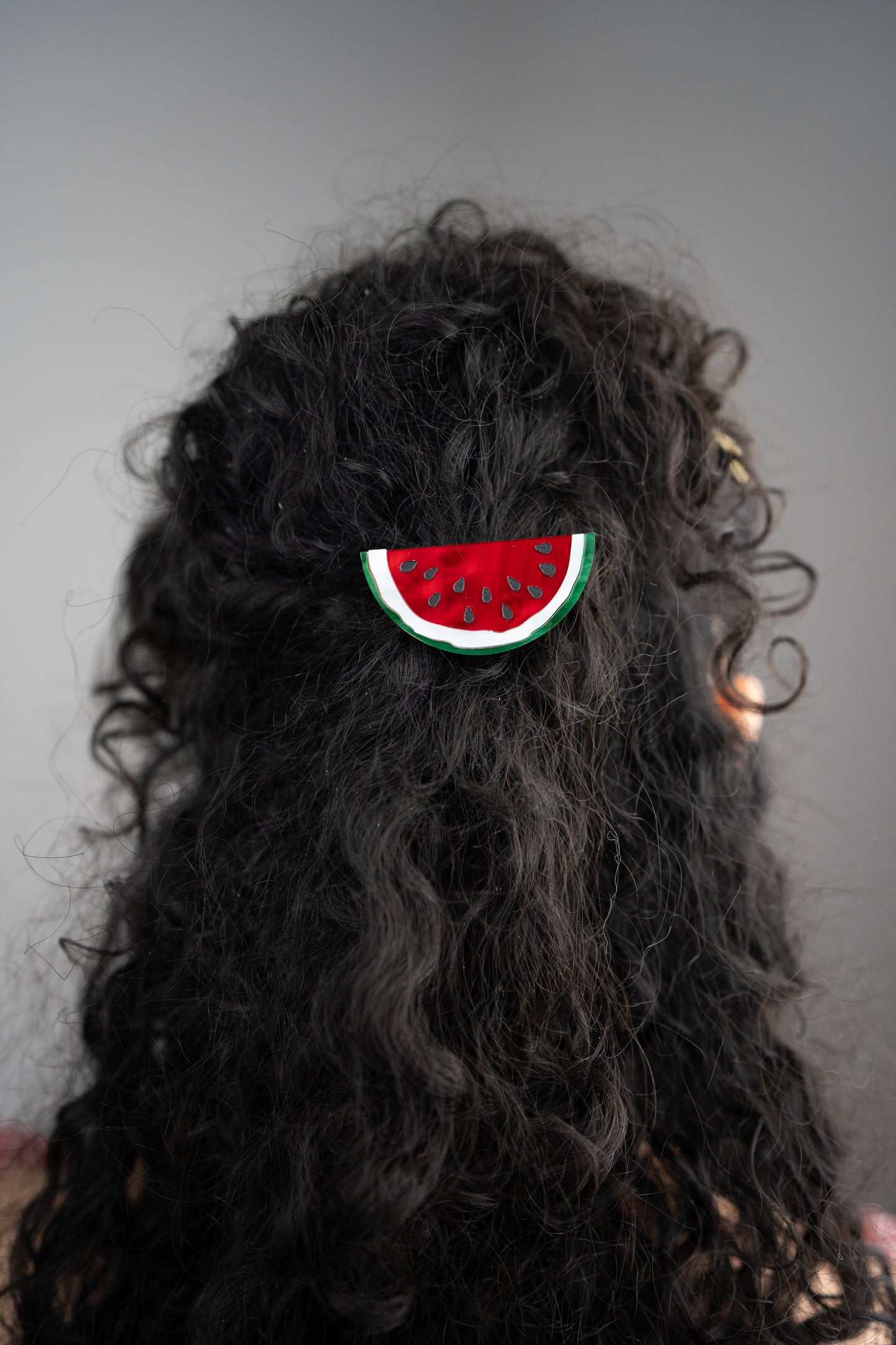 Watermelon Hair Clip