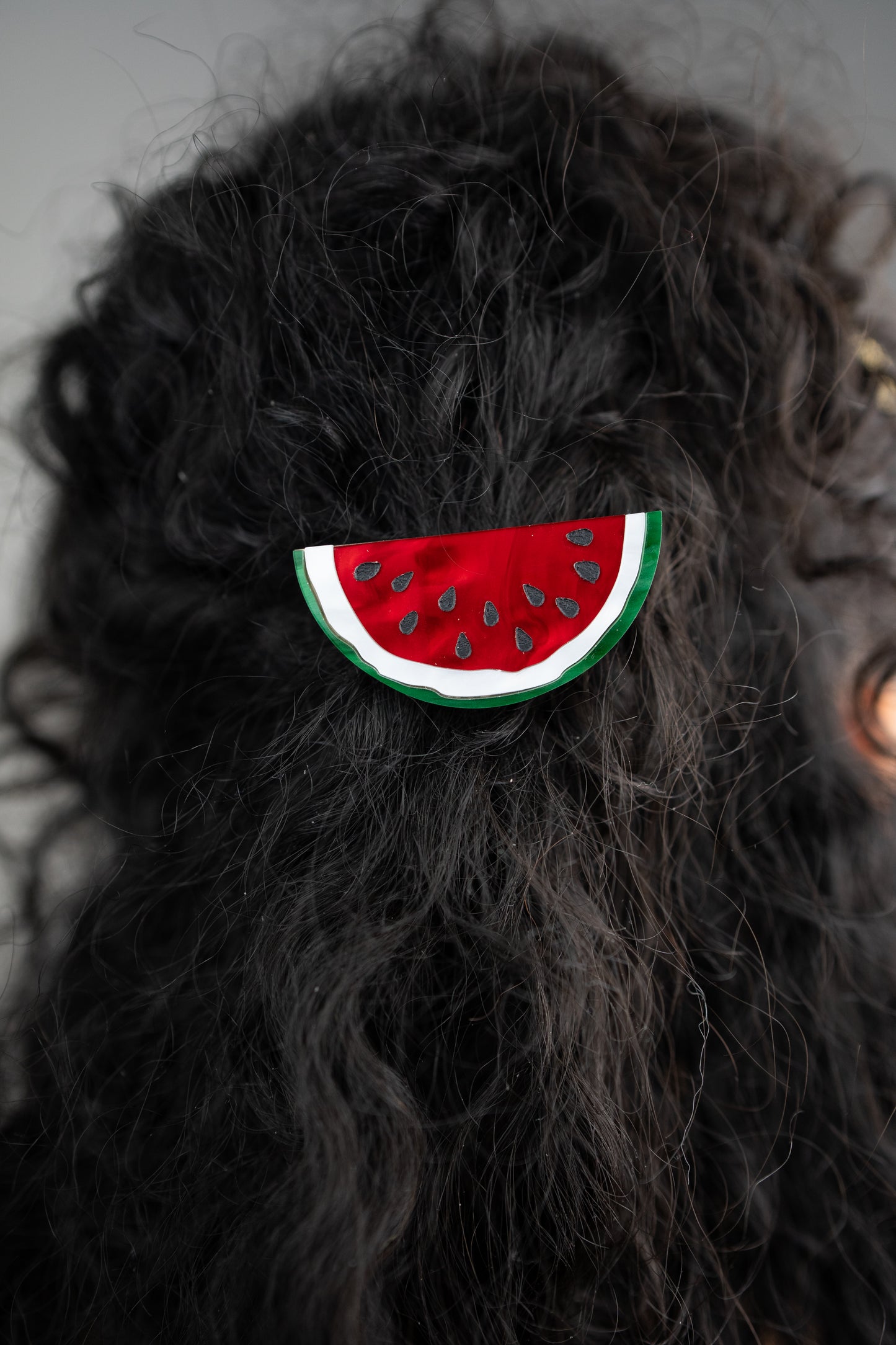 Watermelon Hair Clip
